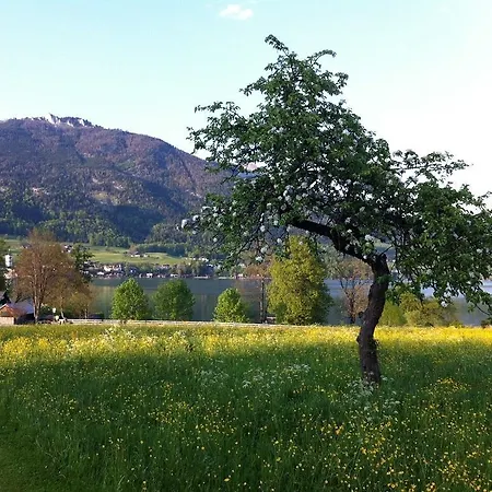 Haus Schoenblick Apartmán