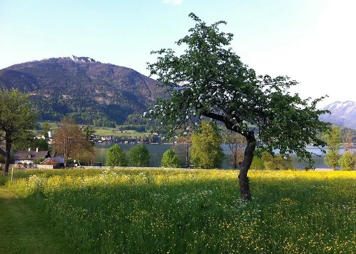 Haus Schoenblick 公寓